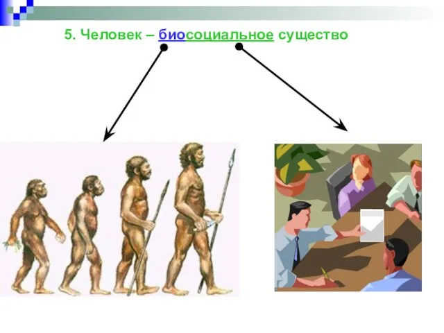 5. Человек – биосоциальное существо