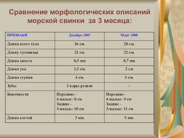 Сравнение морфологических описаний морской свинки за 3 месяца: