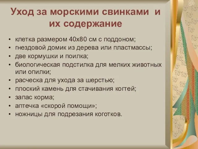 Уход за морскими свинками и их содержание клетка размером 40х80 см с