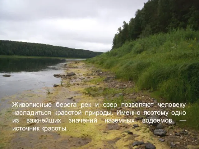 Живописные берега рек и озер позволяют человеку насладиться красотой природы. Именно поэтому