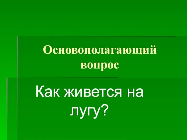 Основополагающий вопрос Как живется на лугу?