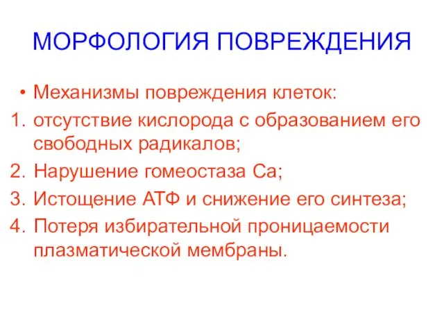 МОРФОЛОГИЯ ПОВРЕЖДЕНИЯ Механизмы повреждения клеток: отсутствие кислорода с образованием его свободных радикалов;