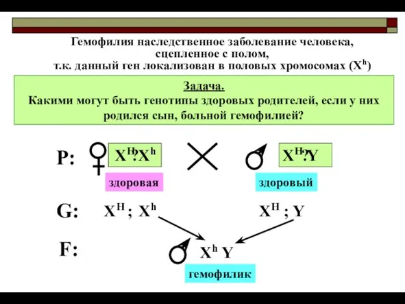 ? ? Задача. Какими могут быть генотипы здоровых родителей, если у них