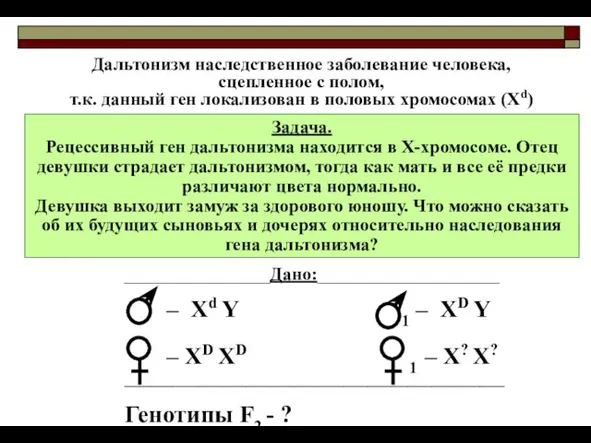 Задача. Рецессивный ген дальтонизма находится в Х-хромосоме. Отец девушки страдает дальтонизмом, тогда