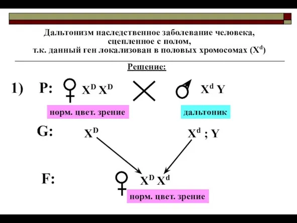 Дальтонизм наследственное заболевание человека, сцепленное с полом, т.к. данный ген локализован в