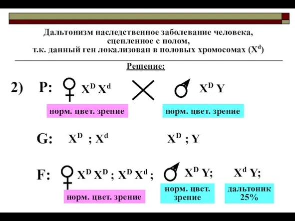 Дальтонизм наследственное заболевание человека, сцепленное с полом, т.к. данный ген локализован в