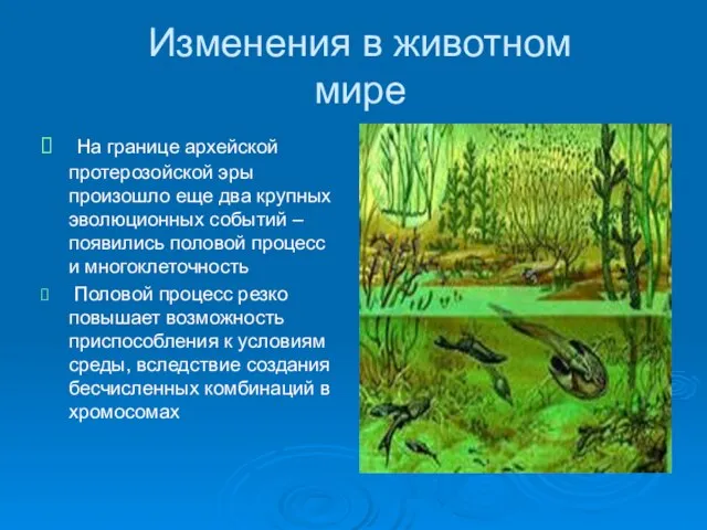 Изменения в животном мире На границе архейской протерозойской эры произошло еще два