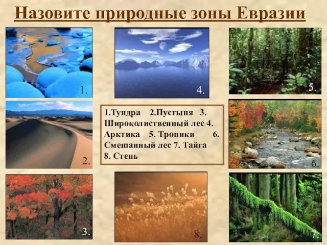 Назовите природные зоны Евразии 1.Тундра 2.Пустыня 3.Широколиственный лес 4.Арктика 5. Тропики 6.