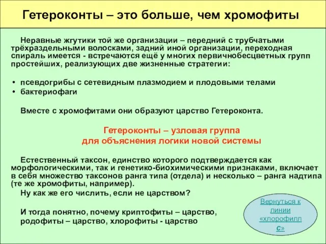 Гетероконты – это больше, чем хромофиты Неравные жгутики той же организации –