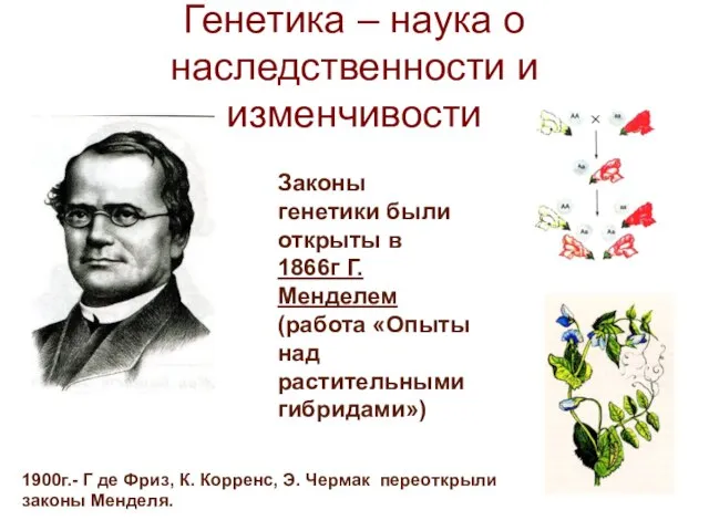 Генетика – наука о наследственности и изменчивости Законы генетики были открыты в