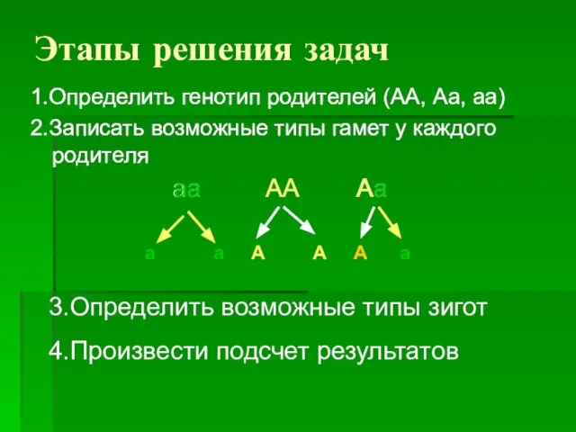 Этапы решения задач 1.Определить генотип родителей (АА, Аа, аа) 2.Записать возможные типы