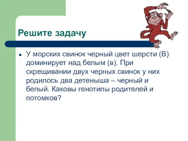 Решите задачу У морских свинок черный цвет шерсти (В) доминирует над белым