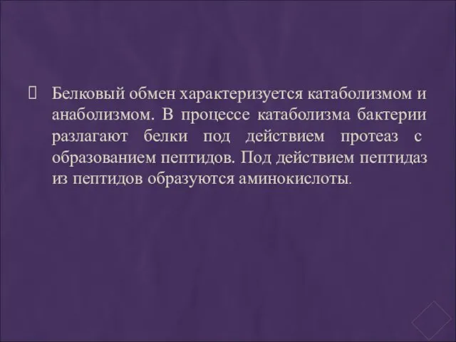 Белковый обмен характеризуется катаболизмом и анаболизмом. В процессе катаболизма бактерии разлагают белки