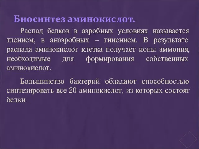 Биосинтез аминокислот. Распад белков в аэробных условиях называется тлением, в анаэробных –