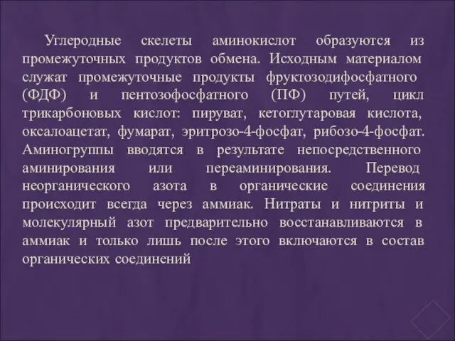 Углеродные скелеты аминокислот образуются из промежуточных продуктов обмена. Исходным материалом служат промежуточные