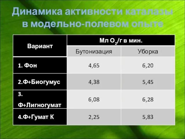 Динамика активности каталазы в модельно-полевом опыте