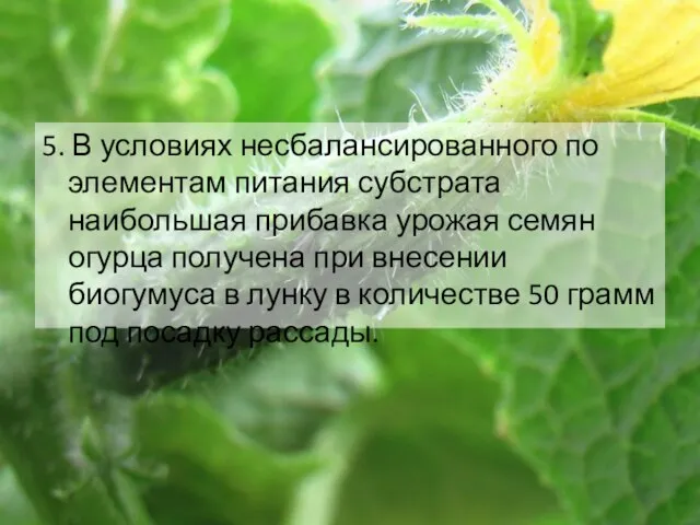 5. В условиях несбалансированного по элементам питания субстрата наибольшая прибавка урожая семян