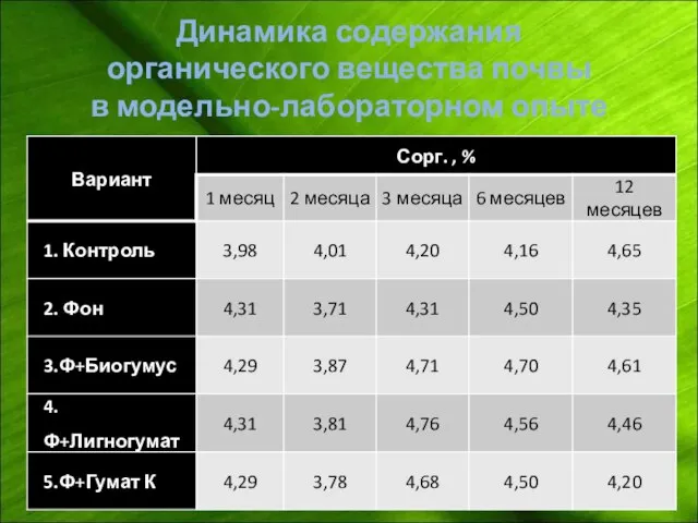 Динамика содержания органического вещества почвы в модельно-лабораторном опыте