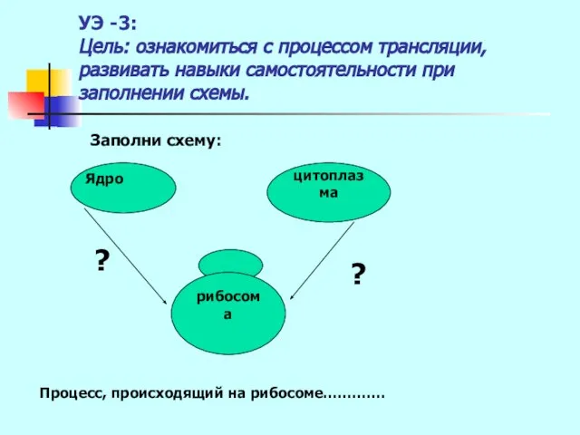 УЭ -3: Цель: ознакомиться с процессом трансляции, развивать навыки самостоятельности при заполнении