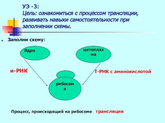 УЭ -3: Цель: ознакомиться с процессом трансляции, развивать навыки самостоятельности при заполнении