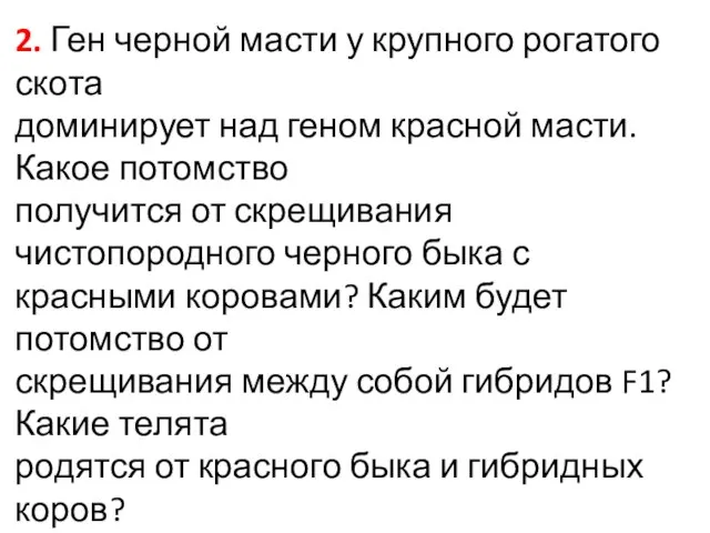 2. Ген черной масти у крупного рогатого скота доминирует над геном красной