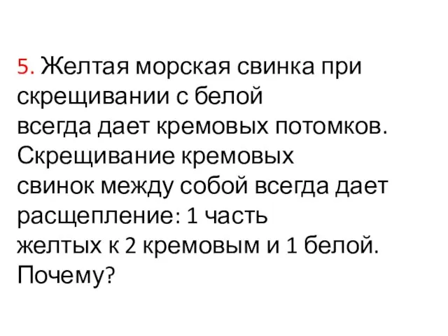 5. Желтая морская свинка при скрещивании с белой всегда дает кремовых потомков.