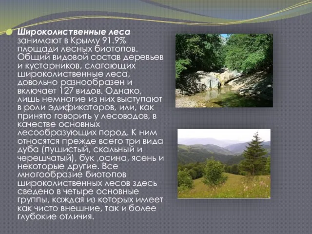 Широколиственные леса занимают в Крыму 91.9% площади лесных биотопов. Общий видовой состав