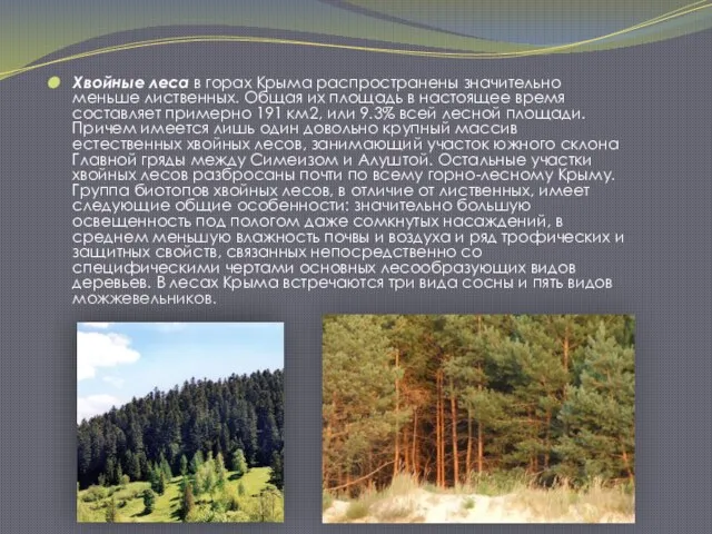 Хвойные леса в горах Крыма распространены значительно меньше лиственных. Общая их площадь