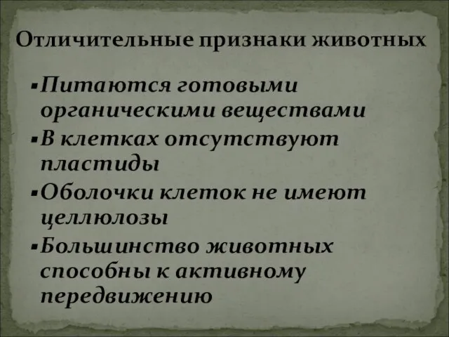 Питаются готовыми органическими веществами В клетках отсутствуют пластиды Оболочки клеток не имеют