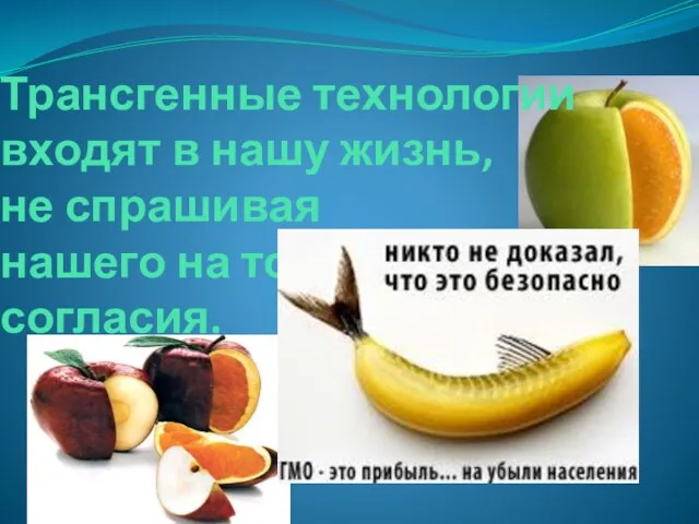 Трансгенные технологии входят в нашу жизнь, не спрашивая нашего на то согласия.