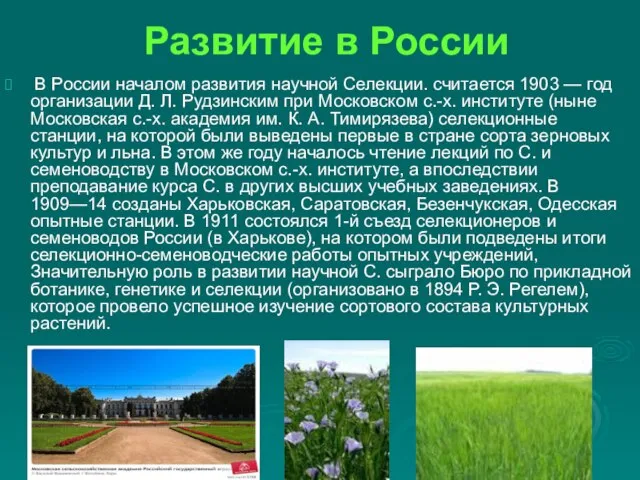 Развитие в России В России началом развития научной Селекции. считается 1903 —