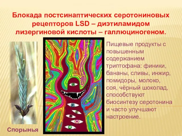 Дневное отделение фармацевтического факультета Блокада постсинаптических серотониновых рецепторов LSD – диэтиламидом лизергиновой