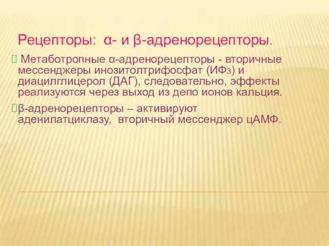 Дневное отделение фармацевтического факультета Рецепторы: α- и β-адренорецепторы. Метаботропные α-адренорецепторы - вторичные