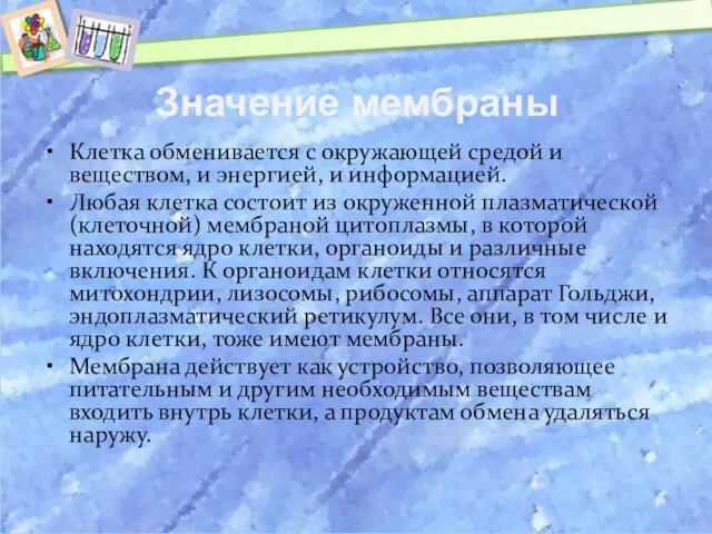 Значение мембраны Клетка обменивается с окружающей средой и веществом, и энергией, и