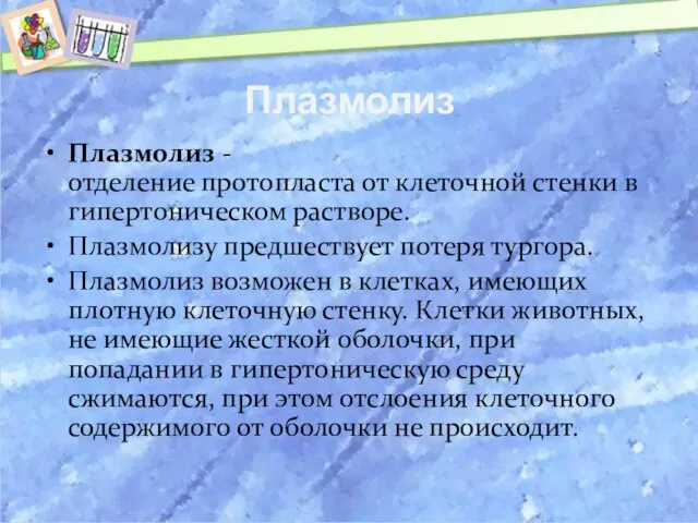 Плазмолиз Плазмолиз -отделение протопласта от клеточной стенки в гипертоническом растворе. Плазмолизу предшествует