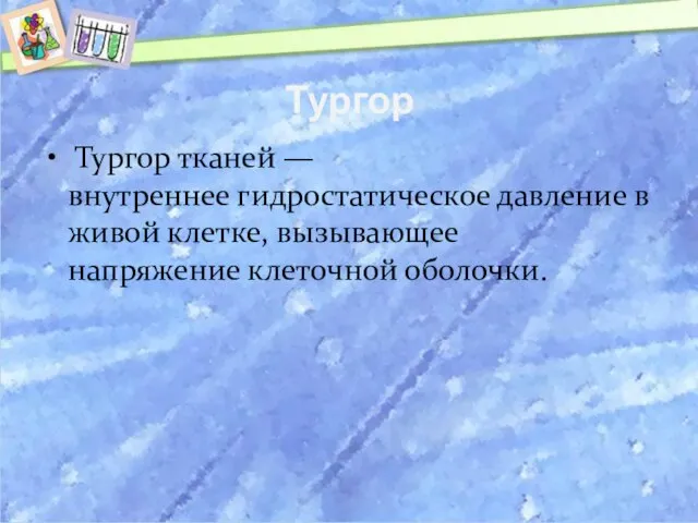 Тургор Тургор тканей — внутреннее гидростатическое давление в живой клетке, вызывающее напряжение клеточной оболочки.