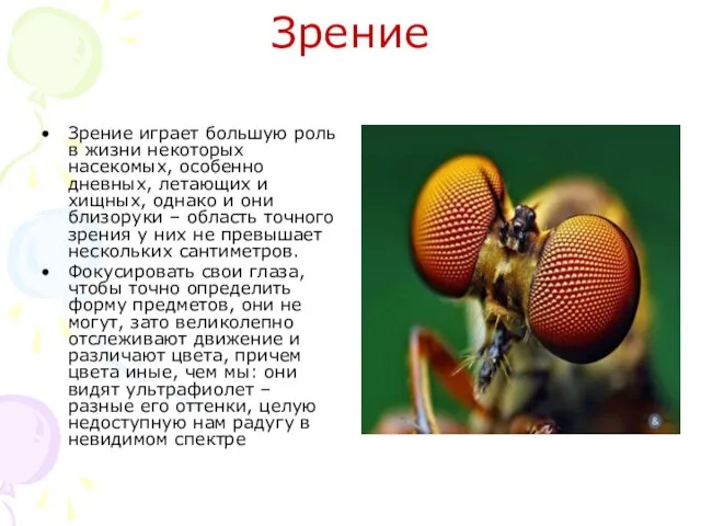 Зрение Зрение играет большую роль в жизни некоторых насекомых, особенно дневных, летающих