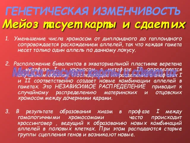 ГЕНЕТИЧЕСКАЯ ИЗМЕНЧИВОСТЬ 1. Уменьшение числа хромосом от диплоидного до гаплоидного сопровождается расхождением