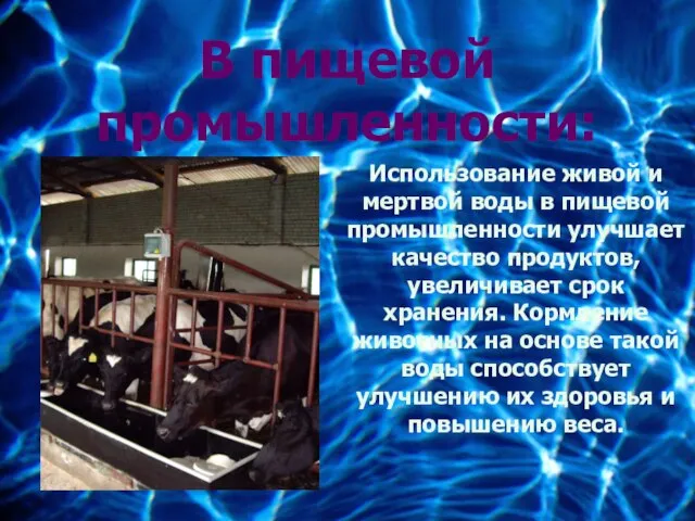 В пищевой промышленности: Использование живой и мертвой воды в пищевой промышленности улучшает