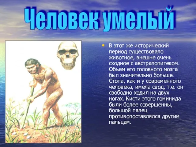 В этот же исторический период существовало животное, внешне очень сходное с австралопитеком.