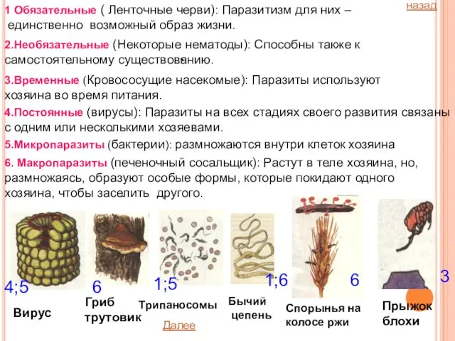 1 Обязательные ( Ленточные черви): Паразитизм для них – единственно возможный образ