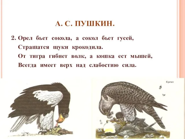 А. С. ПУШКИН. 2. Орел бьет сокола, а сокол бьет гусей, Страшатся