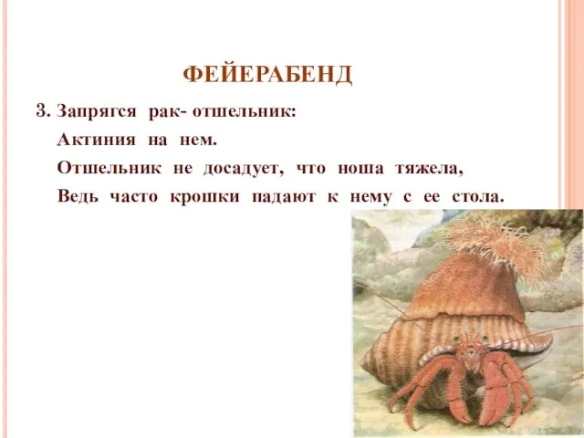 ФЕЙЕРАБЕНД 3. Запрягся рак- отшельник: Актиния на нем. Отшельник не досадует, что