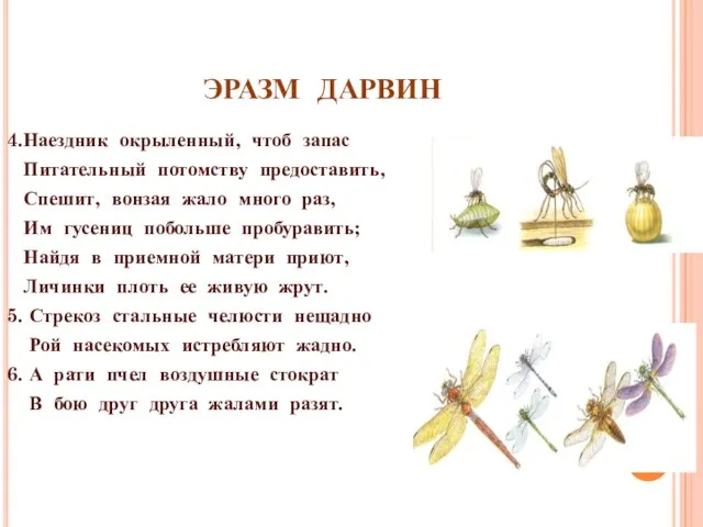 ЭРАЗМ ДАРВИН 4.Наездник окрыленный, чтоб запас Питательный потомству предоставить, Спешит, вонзая жало