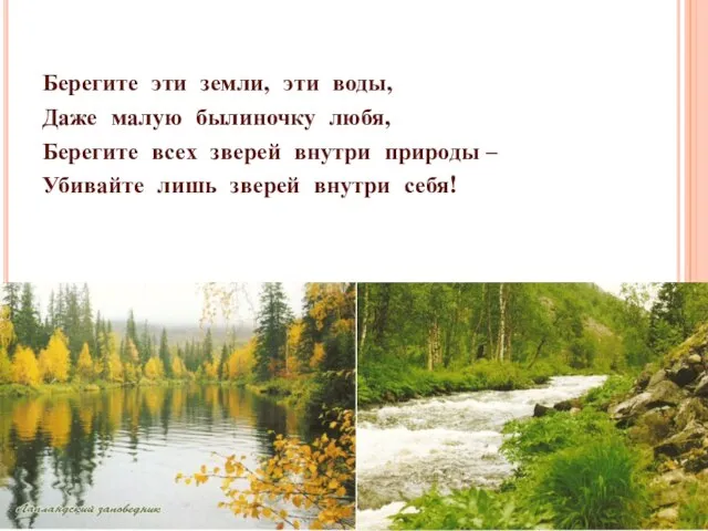 Берегите эти земли, эти воды, Даже малую былиночку любя, Берегите всех зверей