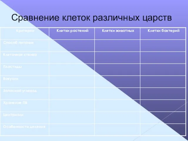 Сравнение клеток различных царств