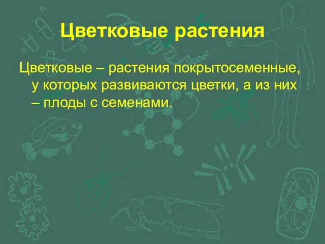 Цветковые растения Цветковые – растения покрытосеменные, у которых развиваются цветки, а из