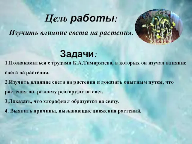 Цель работы: Изучить влияние света на растения. Задачи: 1.Познакомиться с трудами К.А.Тимирязева,