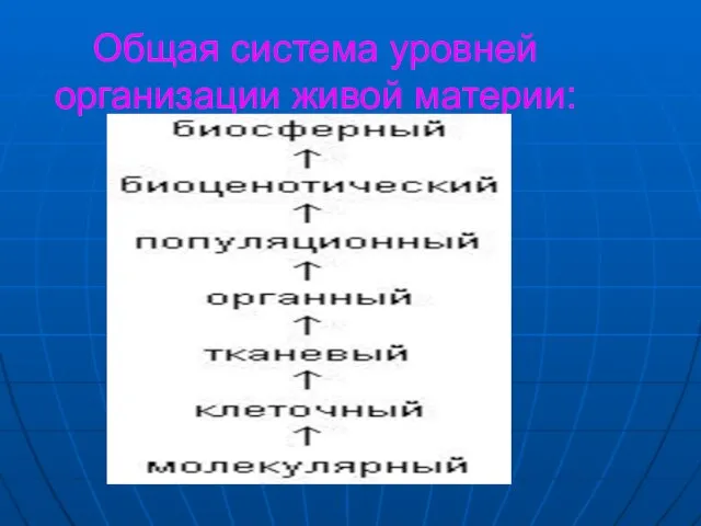 Общая система уровней организации живой материи: