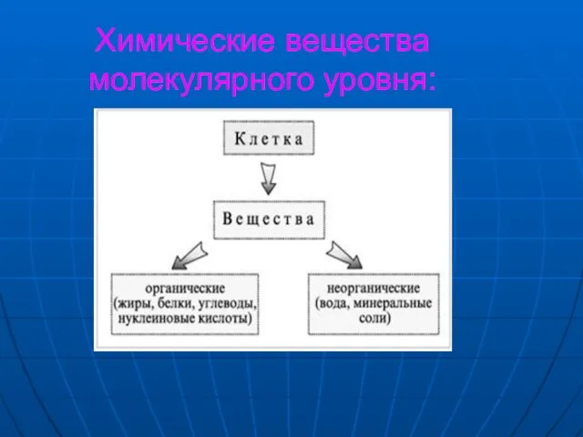 Химические вещества молекулярного уровня: